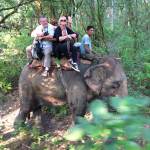 Elephant rides in Nepal, fighting off turkeys in suburbia.