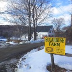 Sugarbush Farm, Woodstock VT. Cheese and maple syrup tasting at a charming VT farm.