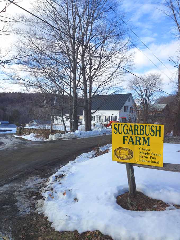 Sugarbush Farm, Woodstock VT. Cheese and maple syrup tasting at a charming VT farm.