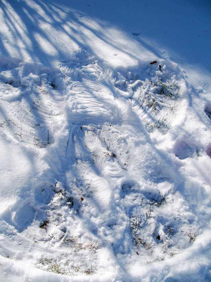 Snow angels in disguise. Do you believe in angels? I do. Amazing true story from a dear friend of mine. Hebrews 13:2 "some have entertained angels unawares"