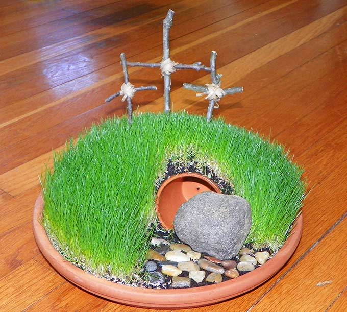 DIY Easter Mini Garden. Easter brings new life and hope. Brings days of anticipation and wonder from kids of all ages.