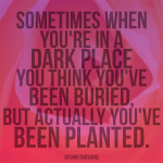 Buried or Planted? Sometimes when you're in a dark place you think you've been buried. But really, you've been planted.