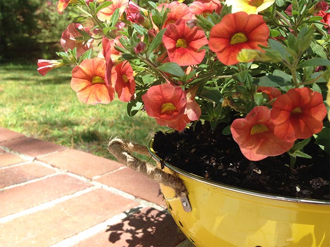 This DIY Colander Flower Planter is so easy to make & adds a touch of whimsy to your porch or patio. This pretty planter is like a breath of fresh air.