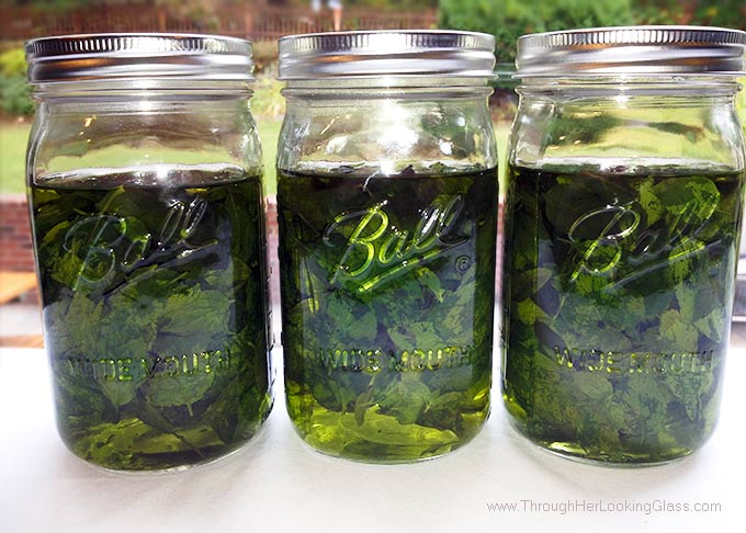 DIY Mint Extract. So easy. Great use for garden mint. Ten minutes. 2 ingredients: mint leaves & vodka. For all your favorite recipes and drinks.