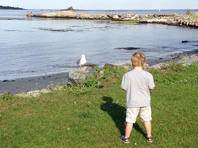 My little stalker. Never knew when I dreamed of having my sweet little babies that I'd bring a stalker into this world. Hudson, my little seagull stalker.