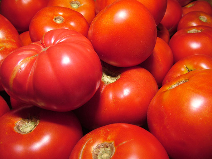 This Caprese Pasta Salad Recipe: perfect side incorporating your garden basil! Fresh basil pesto, pasta, sun-ripened tomatoes and fresh mozzarella. Delish!