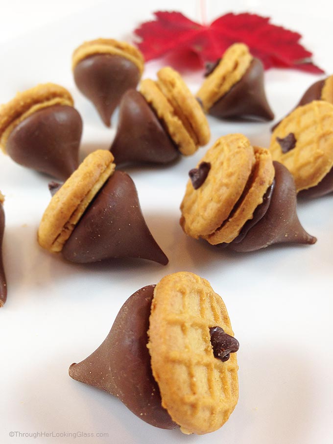 Peanut Butter & Chocolate Acorns. Perfect little fun bite for kid parties and harvest time. Great DIY kids' craft. Super cute. Fun to make, fun to eat.