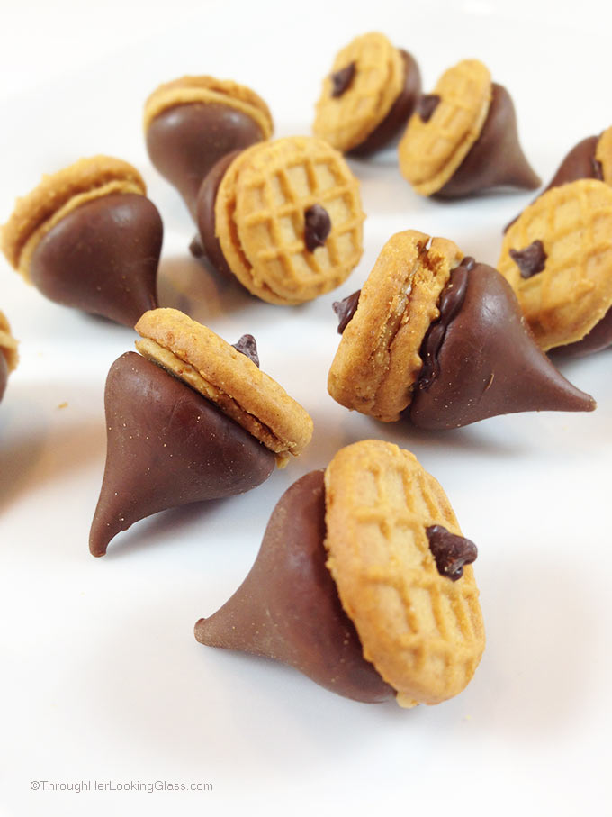 Peanut Butter & Chocolate Acorns. Perfect little fun bite for kid parties and harvest time. Great DIY kids' craft. Super cute. Fun to make, fun to eat.