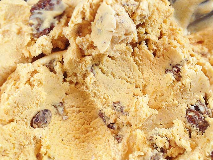 Sugared Pecan Pumpkin Ice Cream. This creamy and delicious ice-cream reminds me of pumpkin pie. Gourmet ice cream perfect for the holidays!
