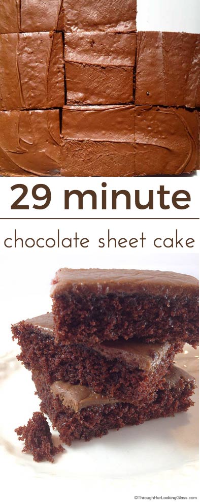 You really can bake and frost the 29 Minute Decadent Chocolate Sheet Cake in twenty nine minutes. It's quick to make, perfect for the chocolate lover!
