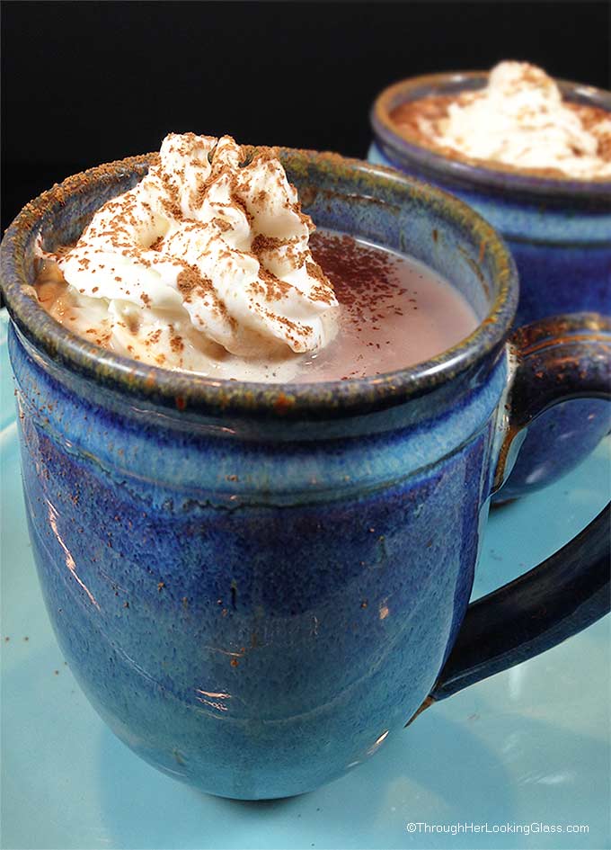 Hershey's DIY Hot Cocoa Mix : this hot cocoa is rich, creamy and chocolaty. And best of all, doesn't use up the milk in the fridge. Quick and easy, with no preservatives, you'll quit buying store bought cocoa mix.