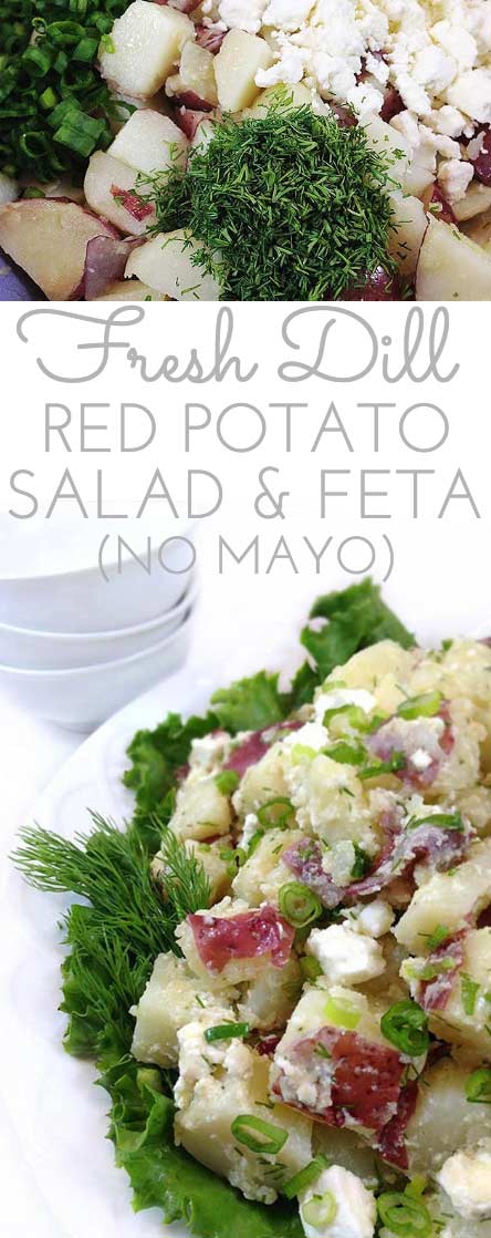 Gourmet Fresh Dill Red Potato Salad with Feta. Olive oil, garlic, fresh dill and feta cheese mingle with tender new potatoes. NO MAYO! Always goes FAST!