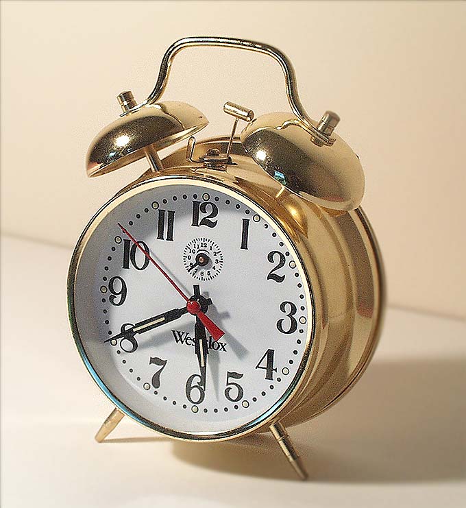 Saturday Morning Snugglebug Alarm Clock
