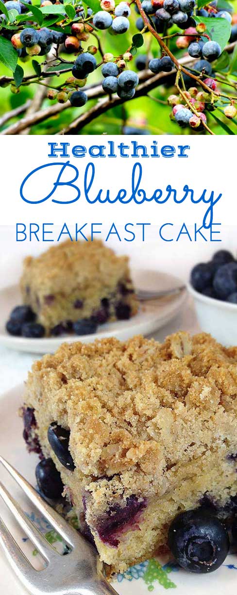 Healthier Oatmeal Streusel Blueberry Breakfast Cake. Tender coffee cake packed w/plump blueberries. White whole wheat flour & coconut oil. A healthier breakfast option.