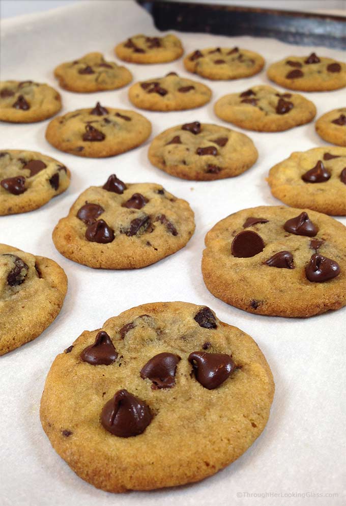 Mini Mocha Chocolate Chip Cookie Ice Cream Sandwiches are fun to eat!