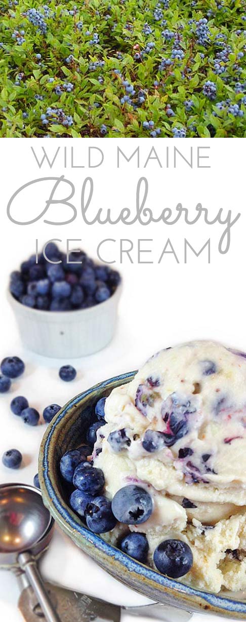 Wild Maine Blueberry Ice Cream. Nothing more refreshing on a sweltering August day than wild blueberry ice cream.