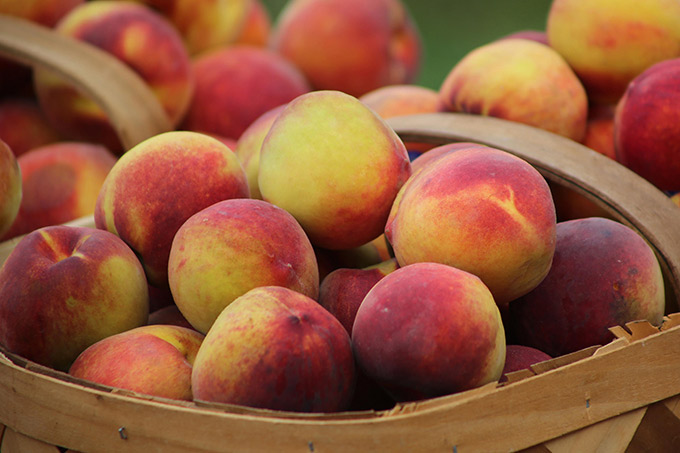 Fresh Peach Blueberry Salsa: fruity salsa with a delicious bite! This fresh salsa is so addictive. The peaches and blueberries are a sweet surprise!