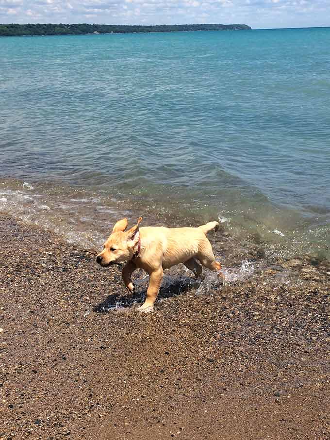 I spent July 4th weekend in Whitefish Bay, WI on Lake Michigan and I just have to tell you all about it today! So many beautiful sights.