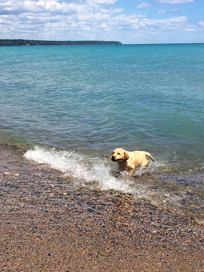 I spent July 4th weekend in Whitefish Bay, WI on Lake Michigan and I just have to tell you all about it today! So many beautiful sights.