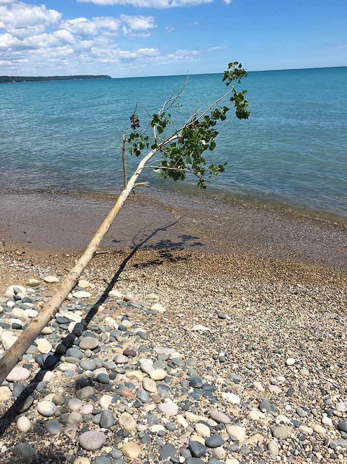 I spent July 4th weekend in Whitefish Bay, WI on Lake Michigan and I just have to tell you all about it today! So many beautiful sights.