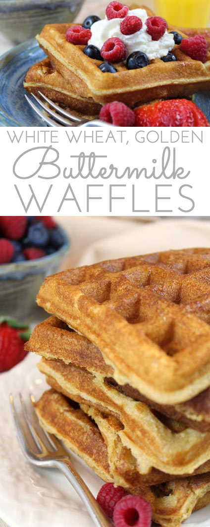 Pair these tender, golden White Wheat Buttermilk Waffles with fresh berries and powdered sugar or butter and maple syrup for a delicious treat.