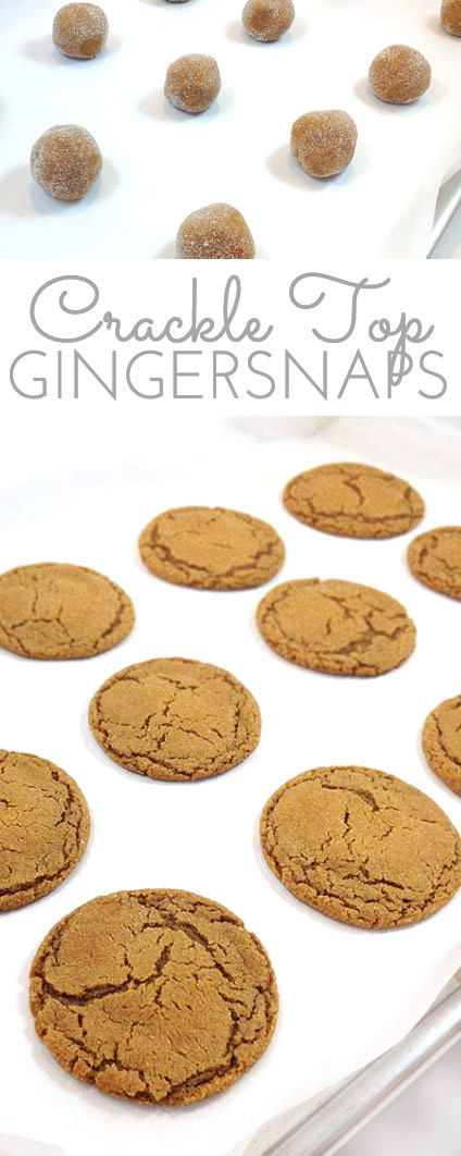 Best Gingersnaps ever. Crackly and crunchy on the outside, chewy in the center. These Gingersnaps are spicy and sweet, great with milk or a mug of chai tea.