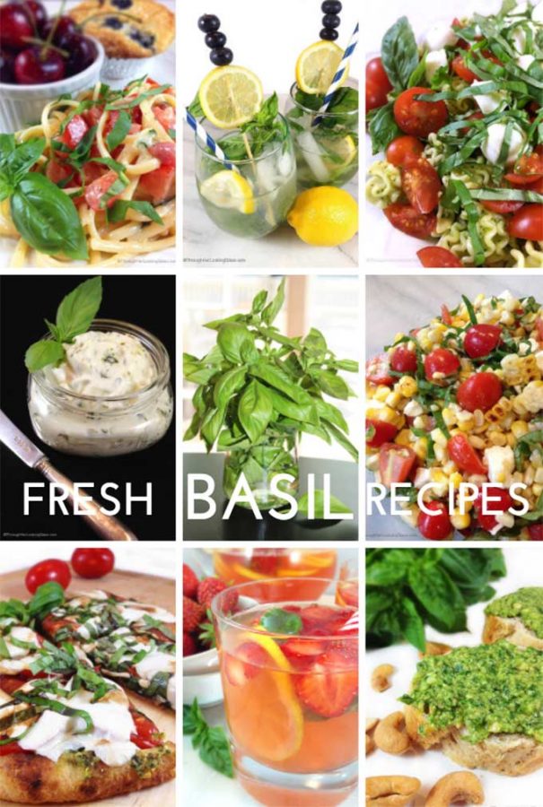 Best Garden Fresh Basil Recipes - Through Her Looking Glass